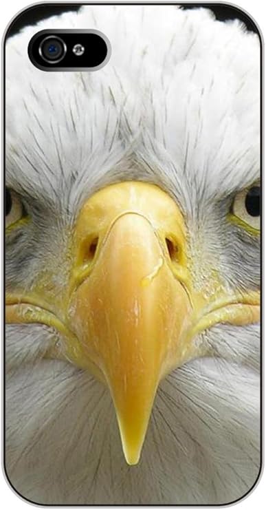 手机保护套 超精细印花技术 环保无毒印花墨水 彩绘设计系列之:黄嘴鹰